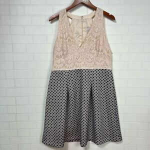 Adrianna Papell Cream and Black Lace Dress